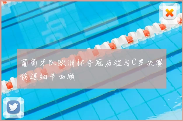 葡萄牙队欧洲杯夺冠历程与C罗决赛伤退细节回顾