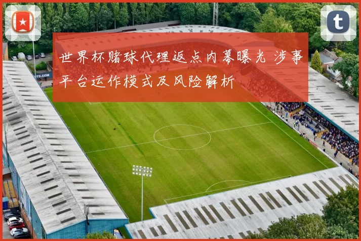 世界杯赌球代理返点内幕曝光 涉事平台运作模式及风险解析